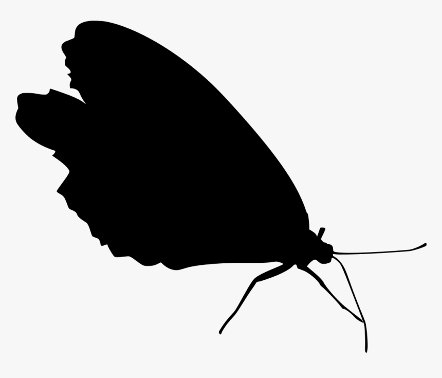 Detail Insect Wings Png Nomer 50