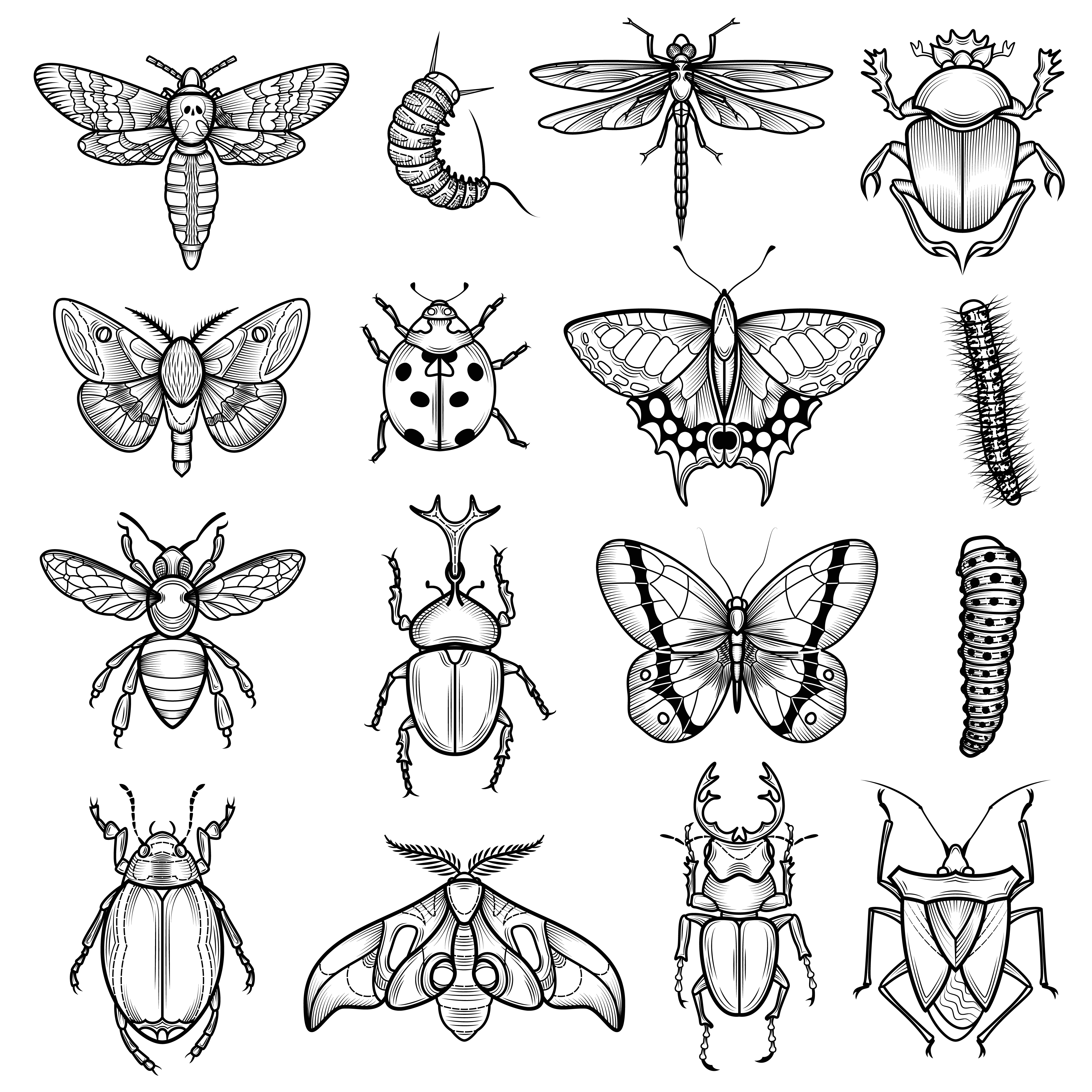 Detail Insects Clipart Black And White Nomer 26
