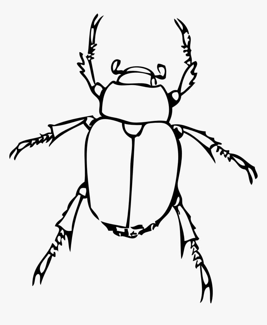 Detail Insects Clipart Black And White Nomer 5