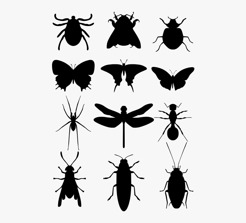 Detail Insects Hd Nomer 49