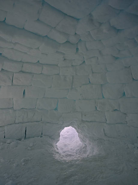 Detail Inside An Igloo Pictures Nomer 41