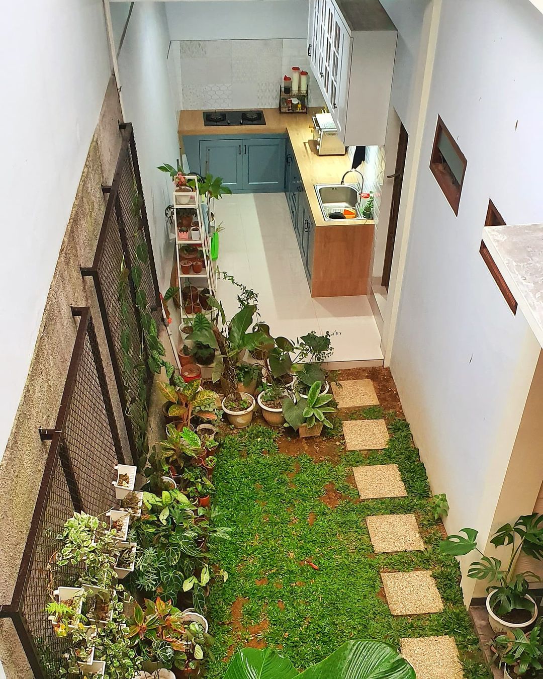 Detail Inspirasi Taman Belakang Rumah Minimalis Nomer 16