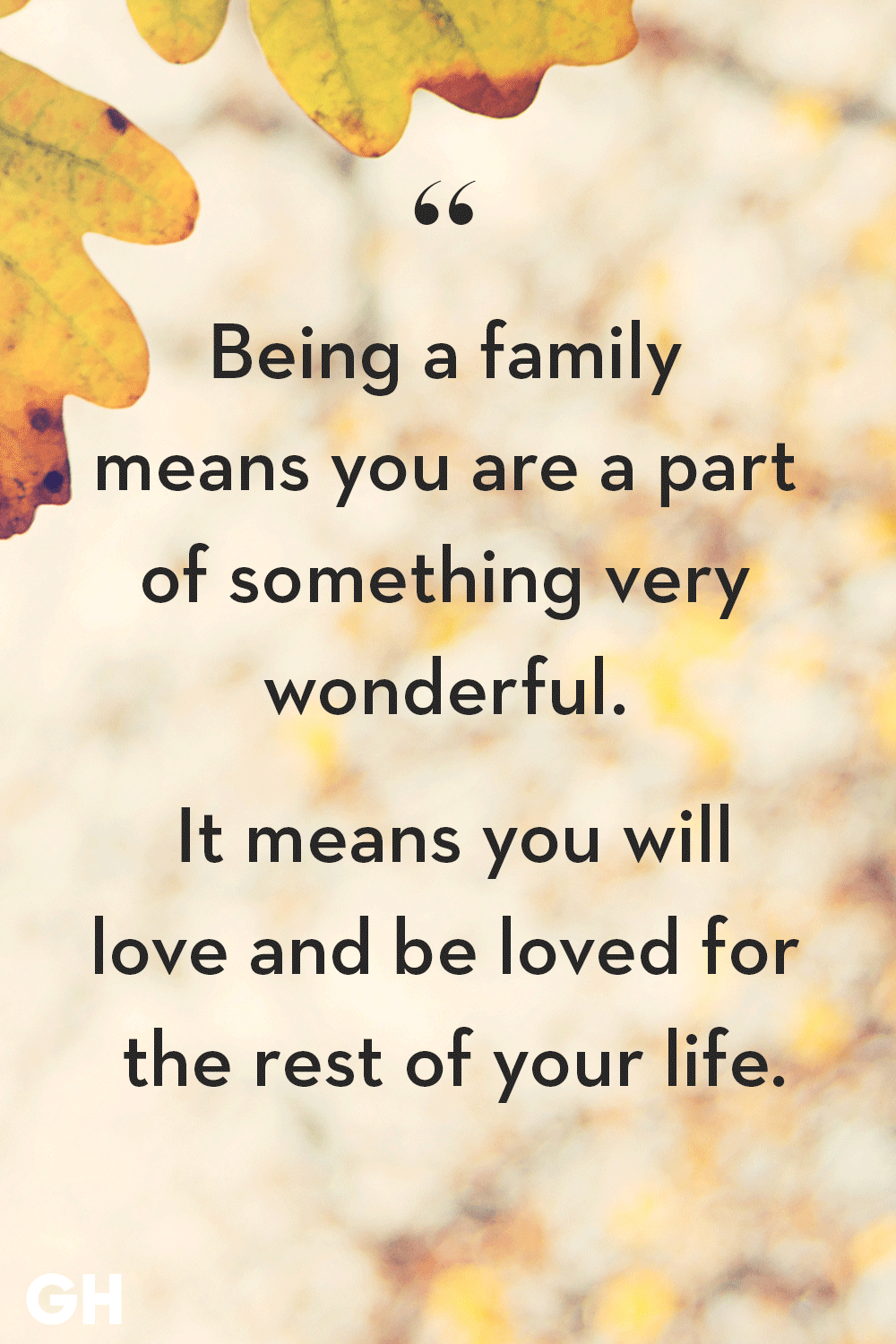 Download Inspirational Family Quotes Nomer 6