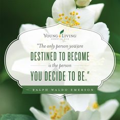 Detail Inspirational Quotes About Essential Oils Nomer 20