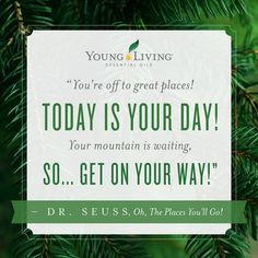 Detail Inspirational Quotes About Essential Oils Nomer 28