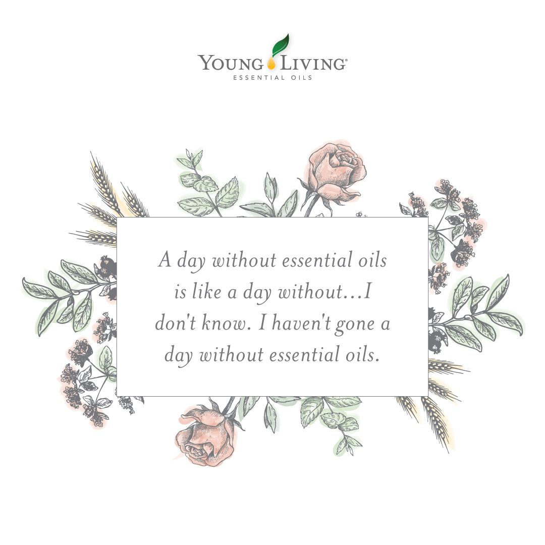 Detail Inspirational Quotes About Essential Oils Nomer 4