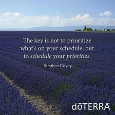 Detail Inspirational Quotes About Essential Oils Nomer 35