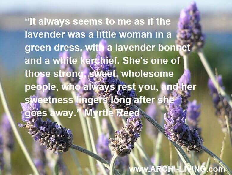Detail Inspirational Quotes About Essential Oils Nomer 53