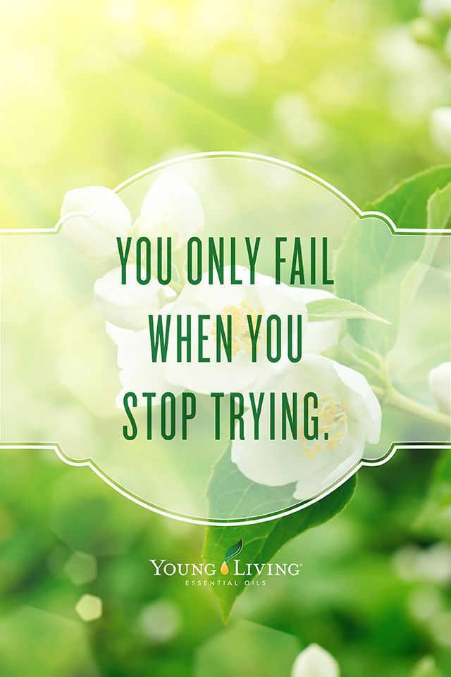 Detail Inspirational Quotes About Essential Oils Nomer 7