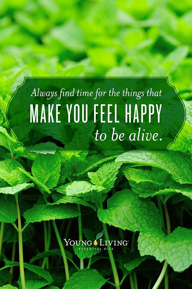 Detail Inspirational Quotes About Essential Oils Nomer 8