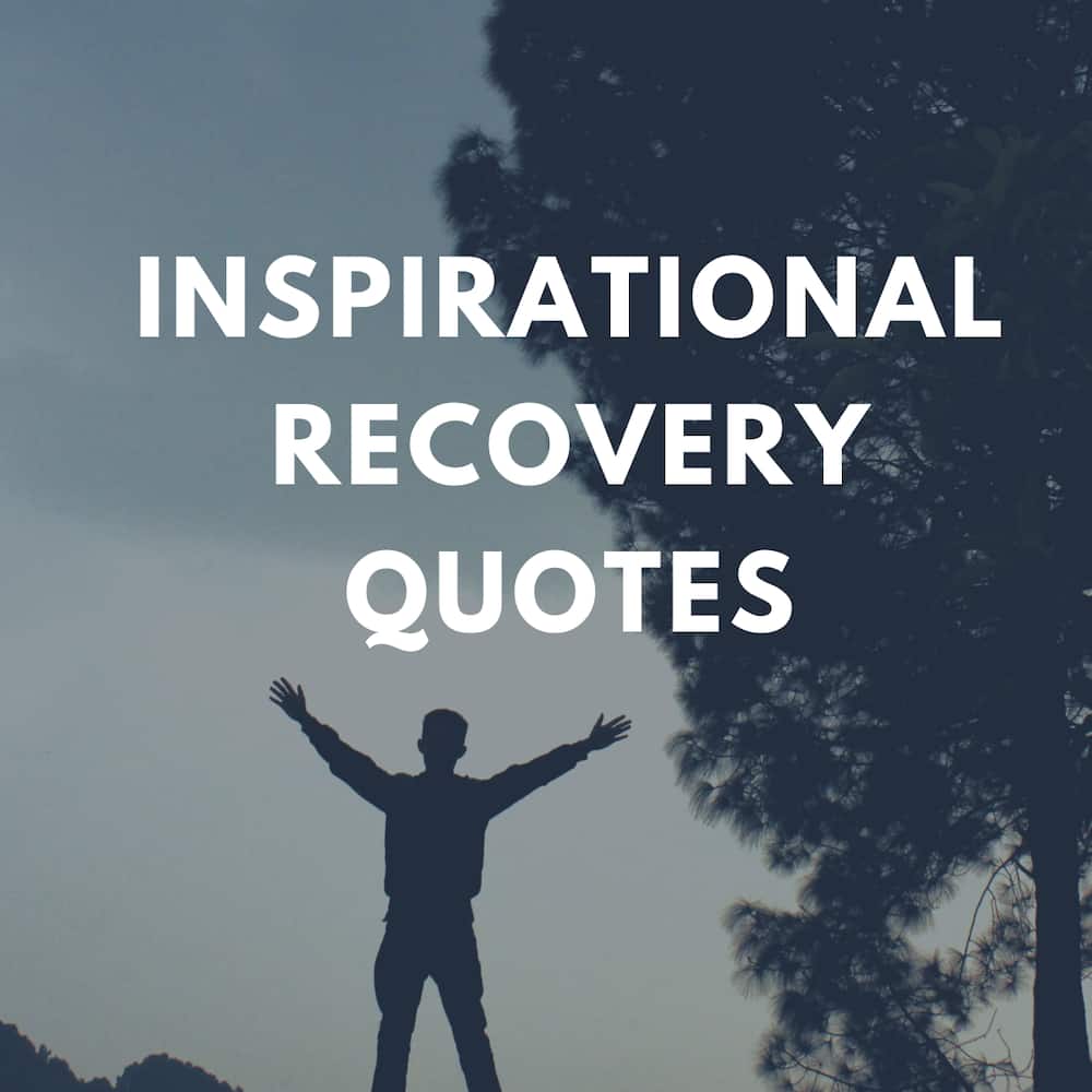 Detail Inspirational Quotes Celebrating Sobriety Nomer 39