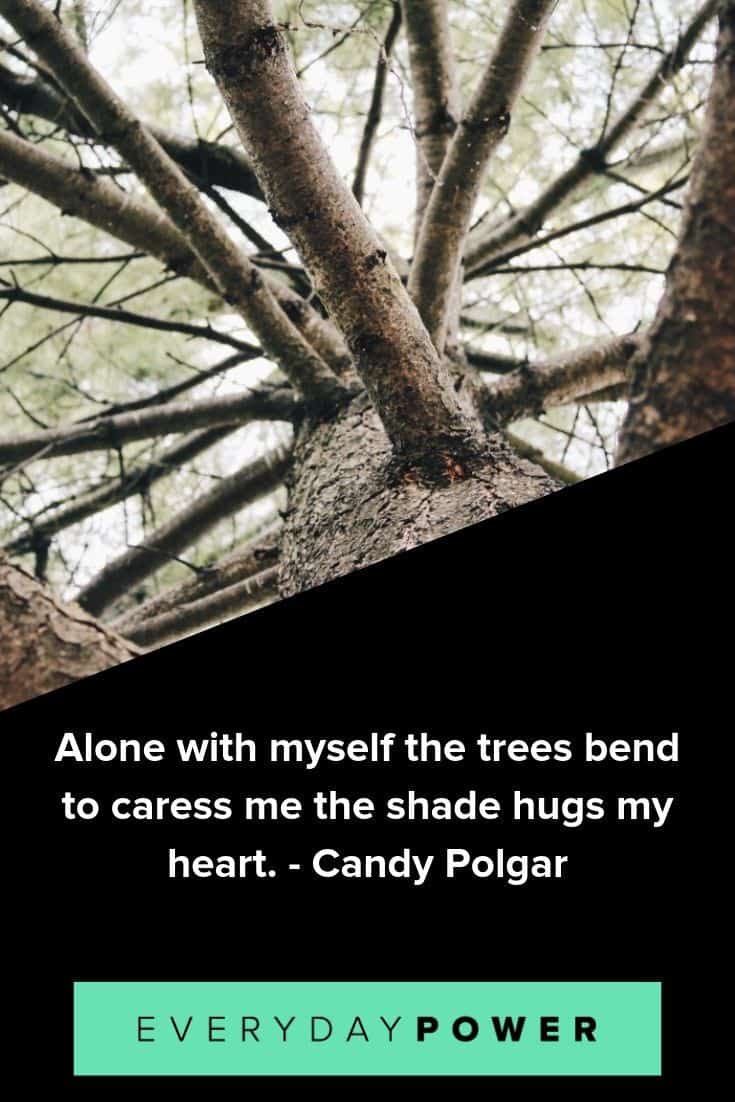 Inspirational Tree Branches Quotes - KibrisPDR