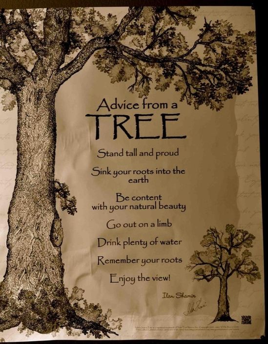 Detail Inspirational Tree Branches Quotes Nomer 13