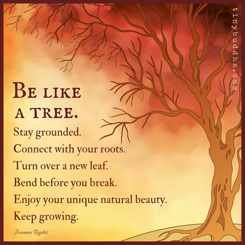 Detail Inspirational Tree Branches Quotes Nomer 24