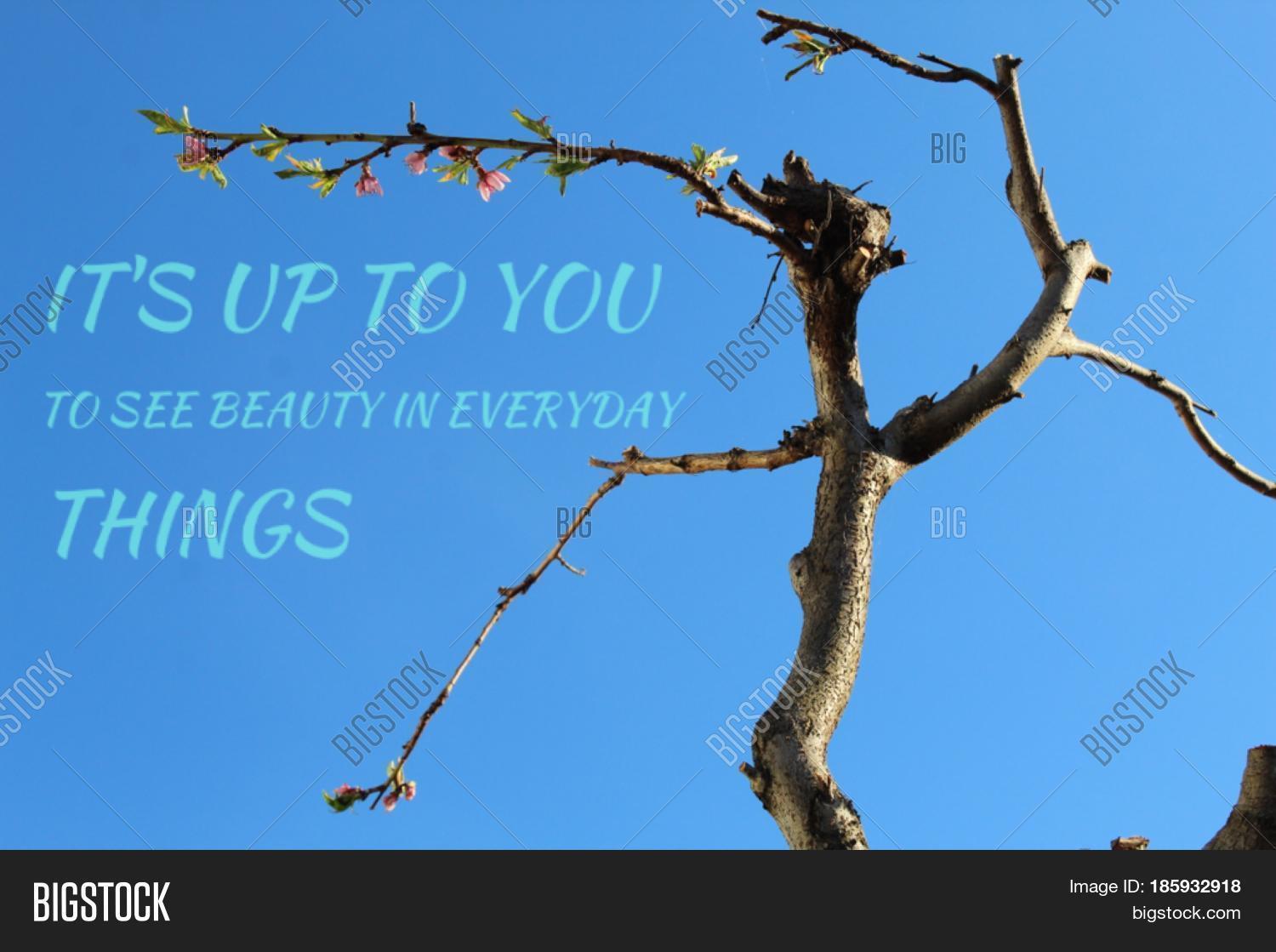 Detail Inspirational Tree Branches Quotes Nomer 4