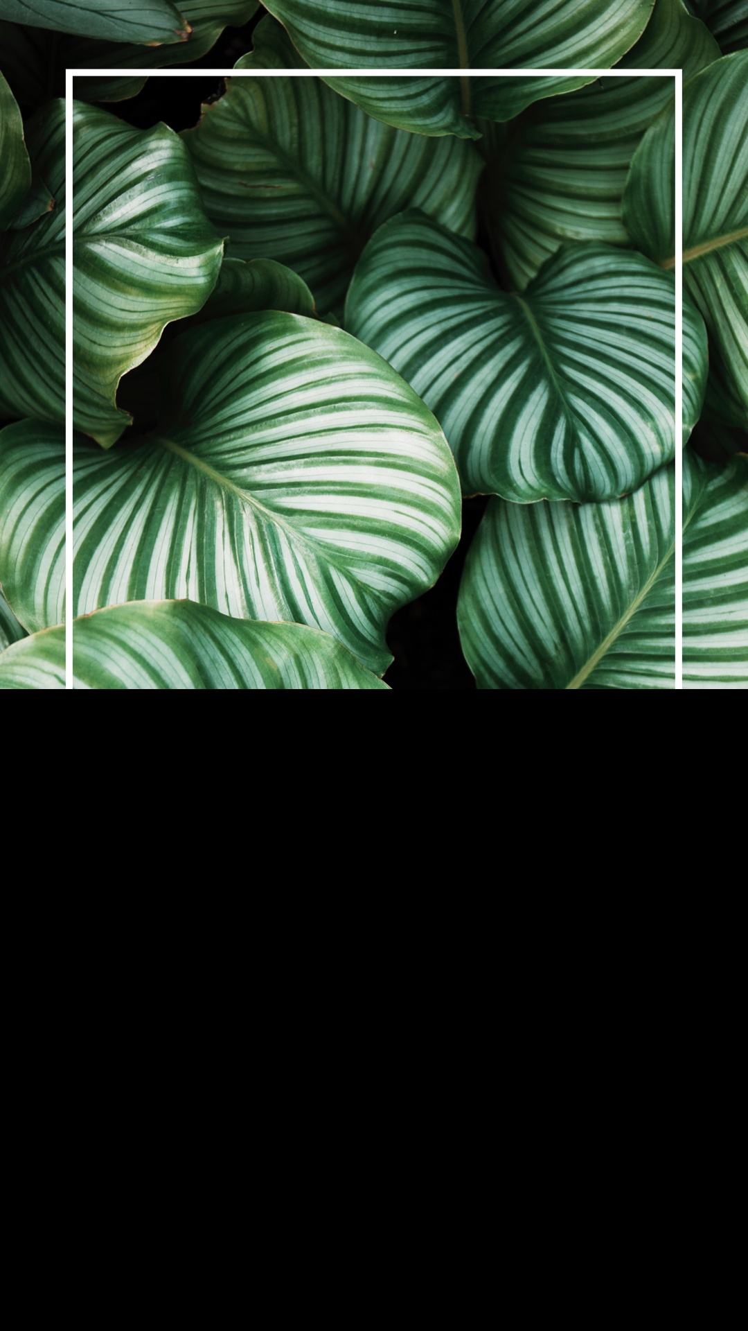 Detail Instastory Background Nomer 41
