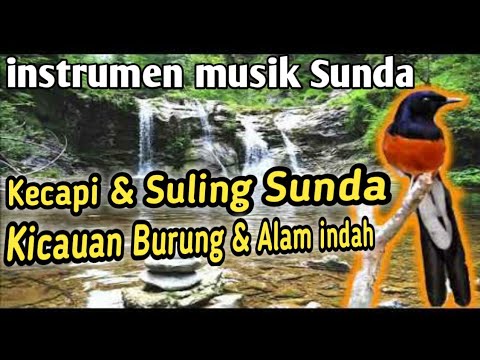 Detail Instrumen Suara Burung Nomer 20