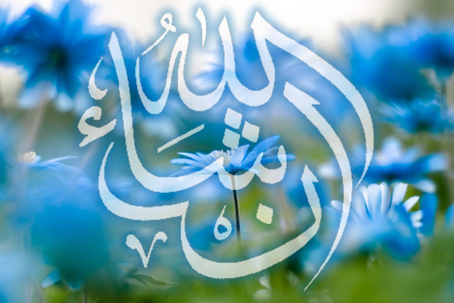 Detail Insya Allah Kaligrafi Nomer 29