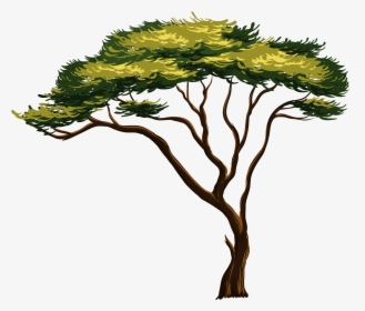 Detail Acacia Tree Model Nomer 10