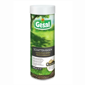 Detail Beeren Schatten Nomer 27