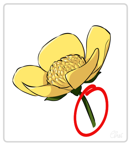 Detail Blumen Verbinden Spiel Nomer 15