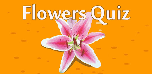 Detail Blumen Verbinden Spiel Nomer 7