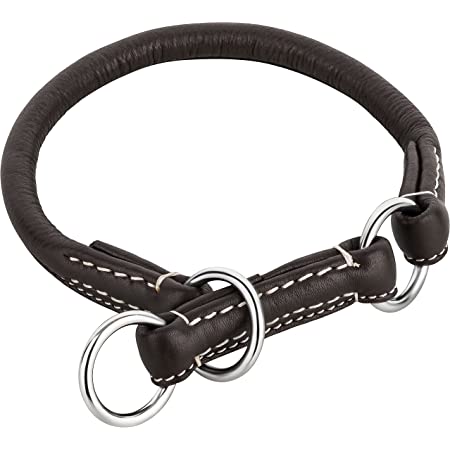 Detail Cane Corso Halsband Nomer 25