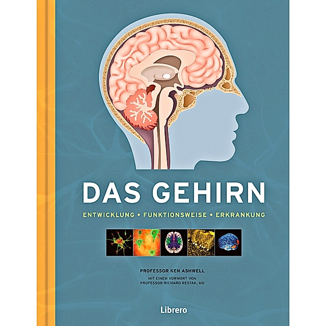 Detail Der Mann Mit Zwei Gehirnen Download Nomer 5