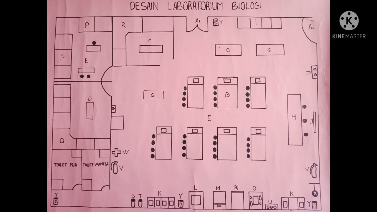 Detail Desain Laboratorium Biologi Nomer 26