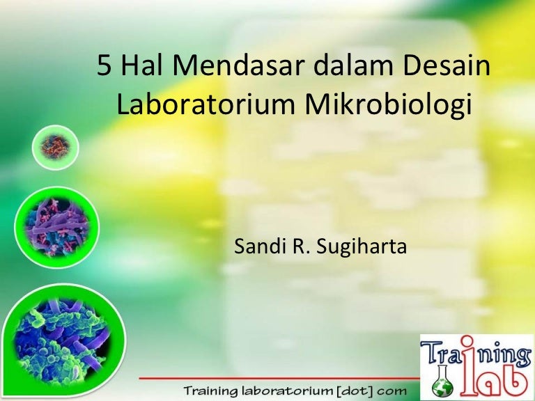 Detail Desain Laboratorium Mikrobiologi Nomer 10