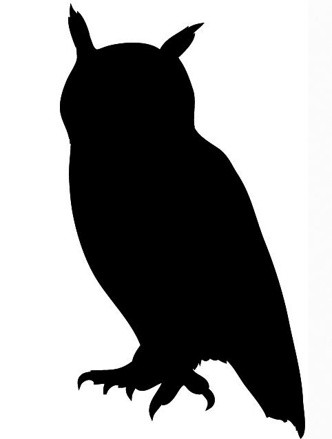 Owl Silhouette - KibrisPDR