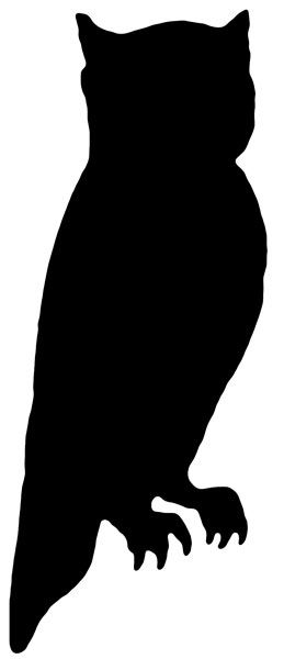 Detail Owl Silhouette Nomer 9
