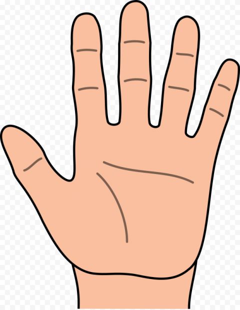 Detail Stop Hand Nomer 17