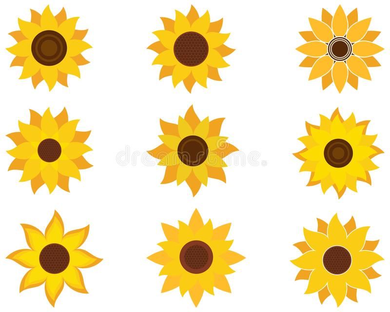 Detail Sunflower Shape Nomer 20