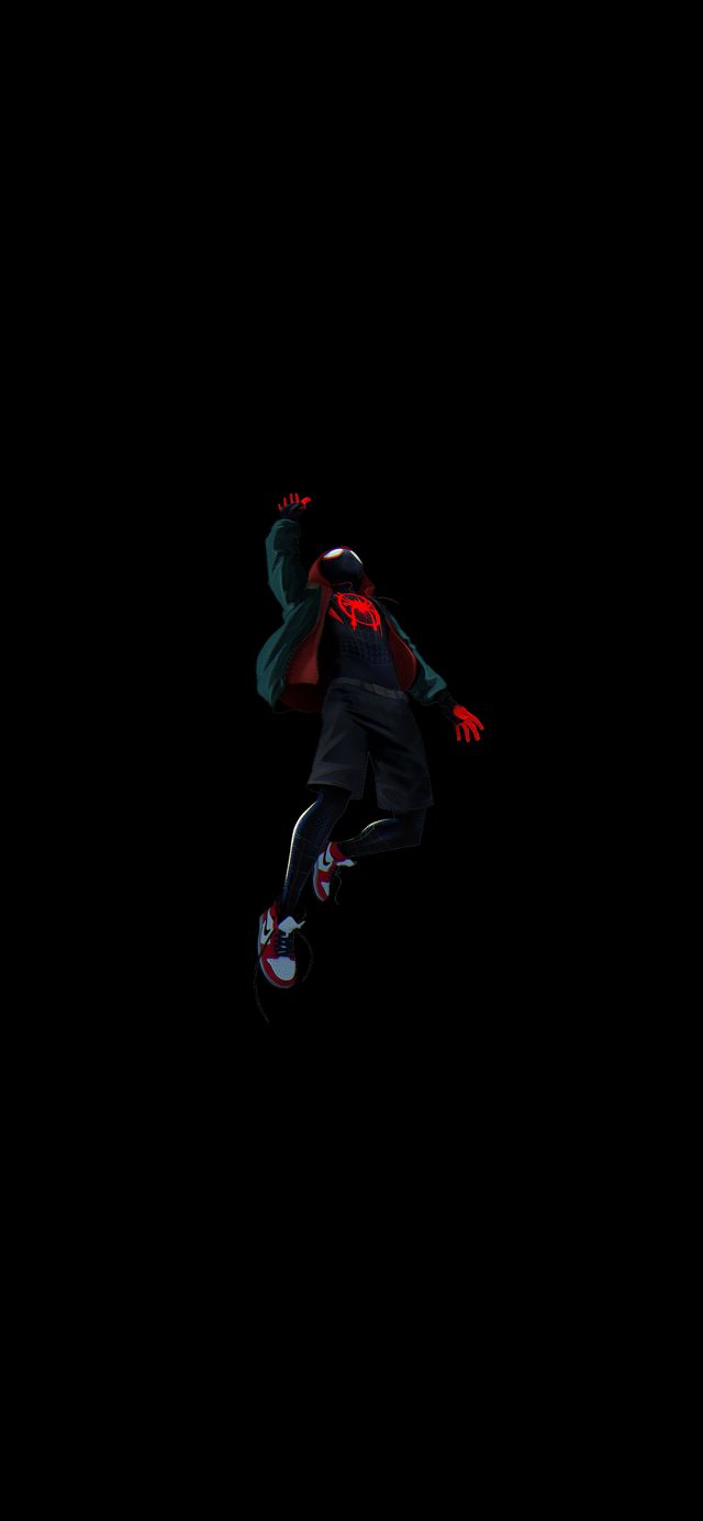 Detail Into The Spider Verse Wallpaper Nomer 32