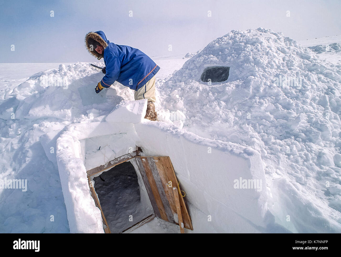 Detail Inuit Igloo Picture Nomer 52