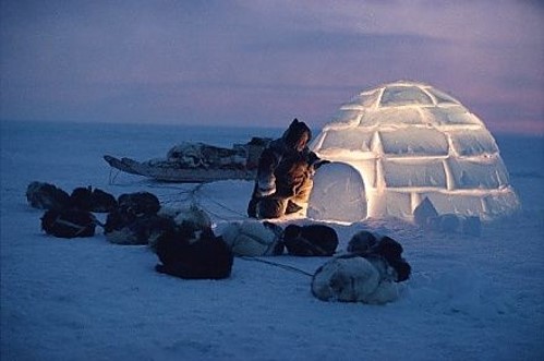 Detail Inuit Igloo Picture Nomer 55