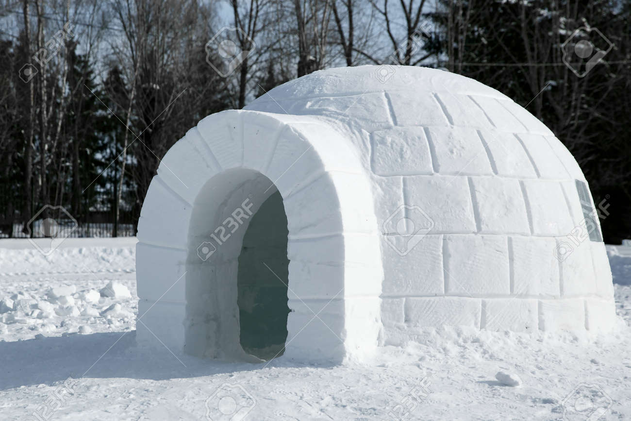 Detail Inuit Igloo Picture Nomer 9