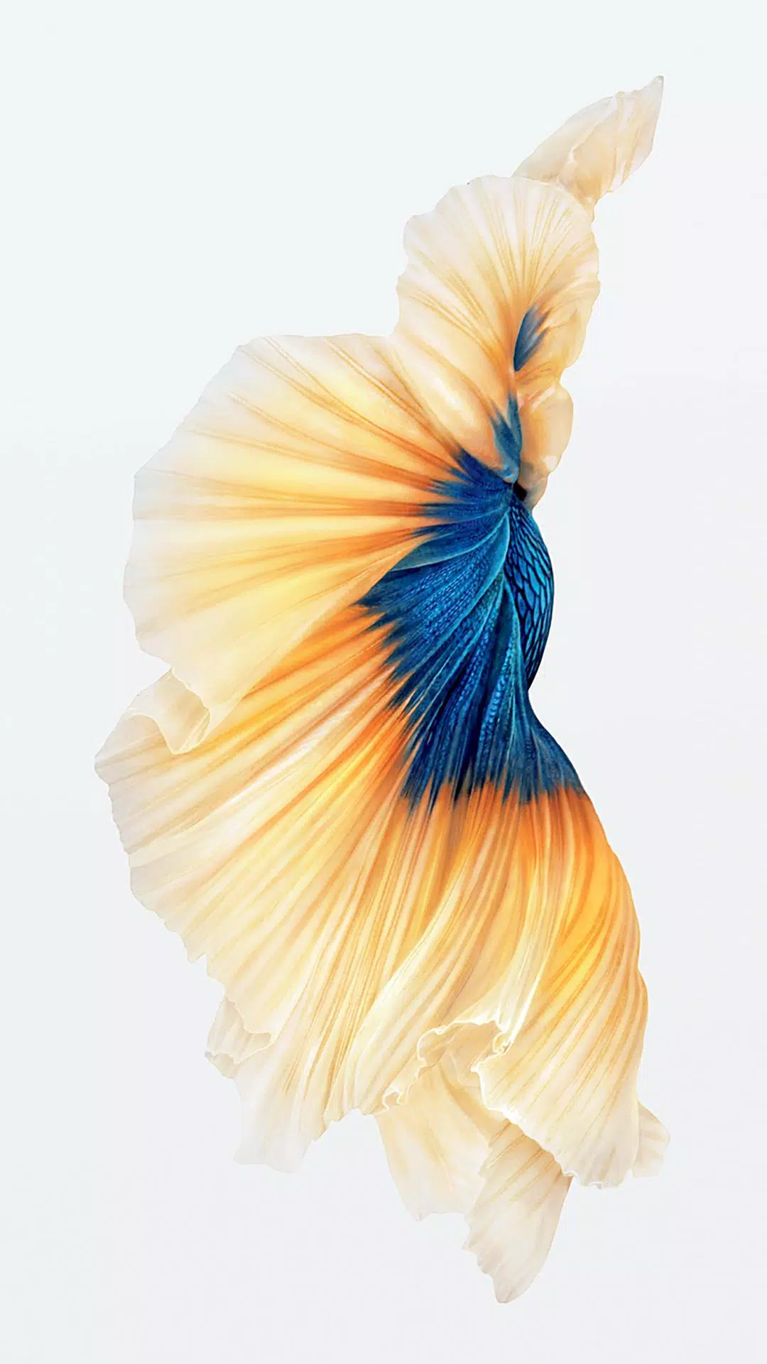 Detail Ios 9 Wallpaper Nomer 44