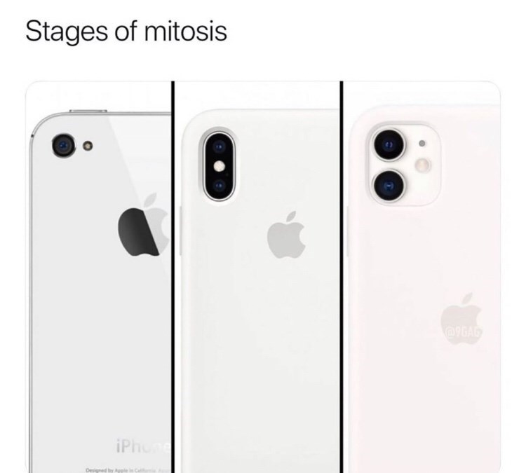 Detail Iphone 11 Meme Nomer 54