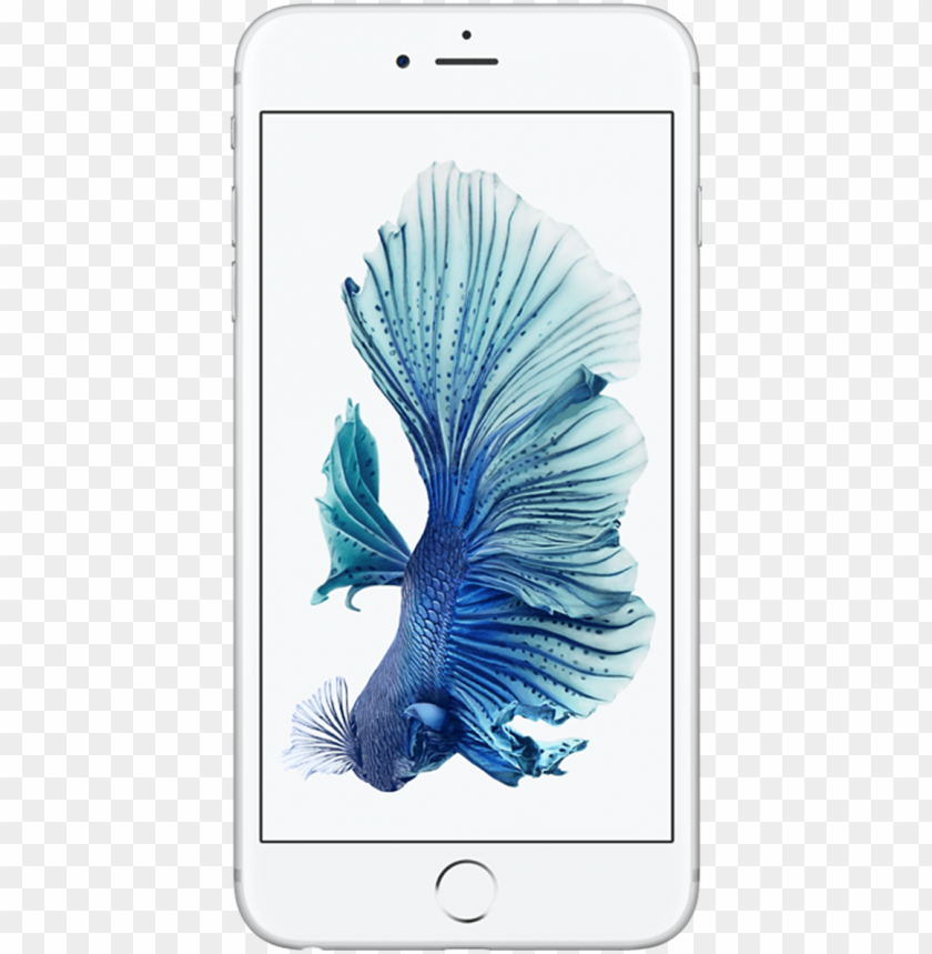 Фото Iphone 6s Silver Для Продажи