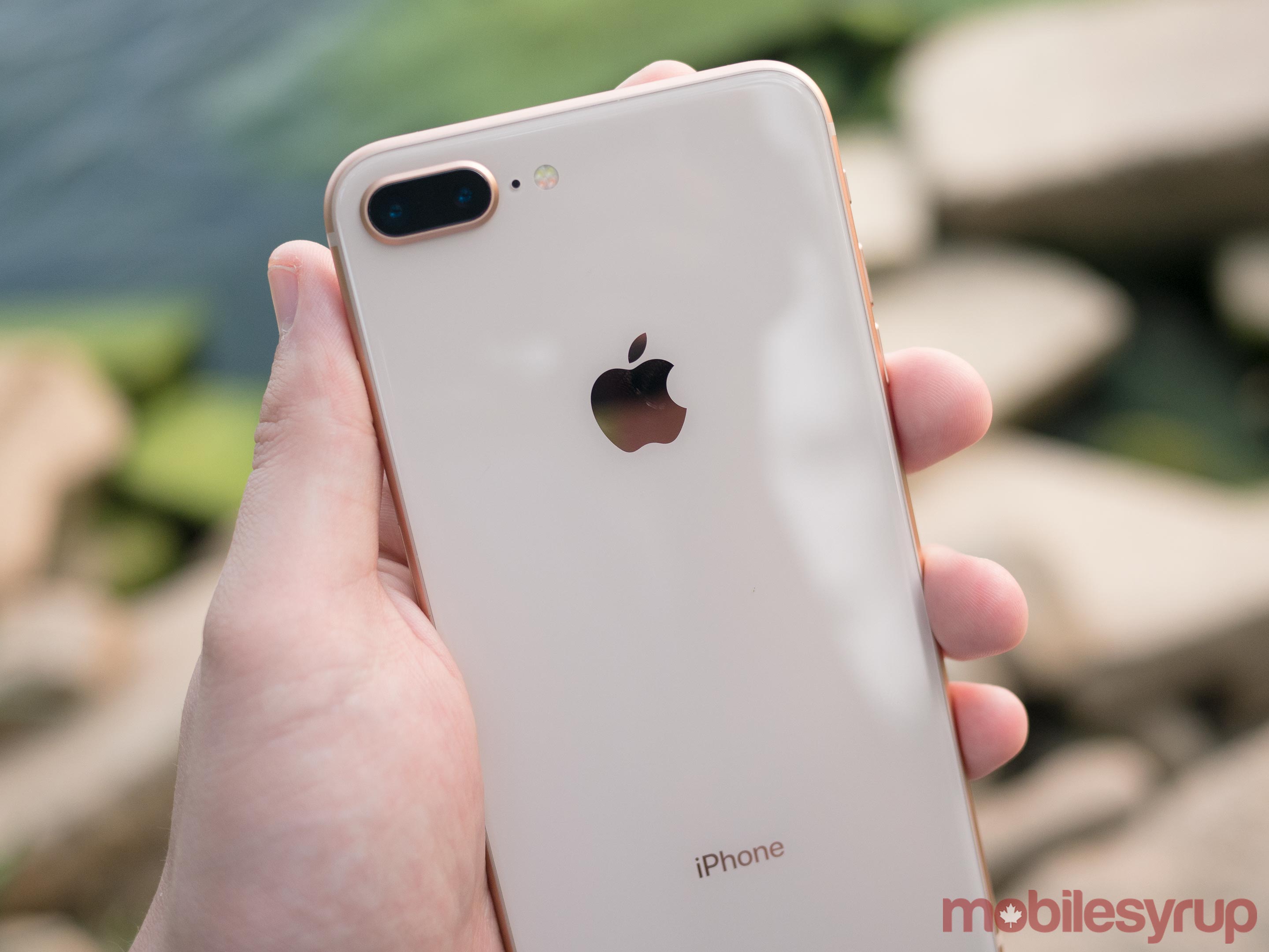 Detail Iphone 8 Plus Silver Nomer 19
