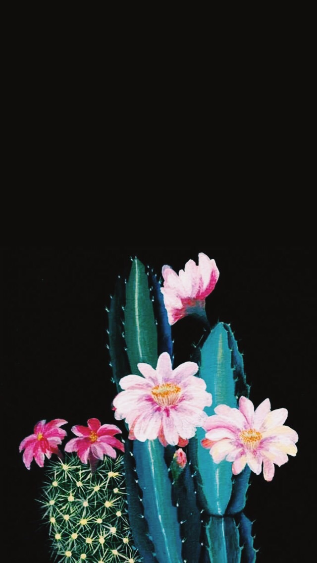 Detail Iphone Cactus Background Nomer 11