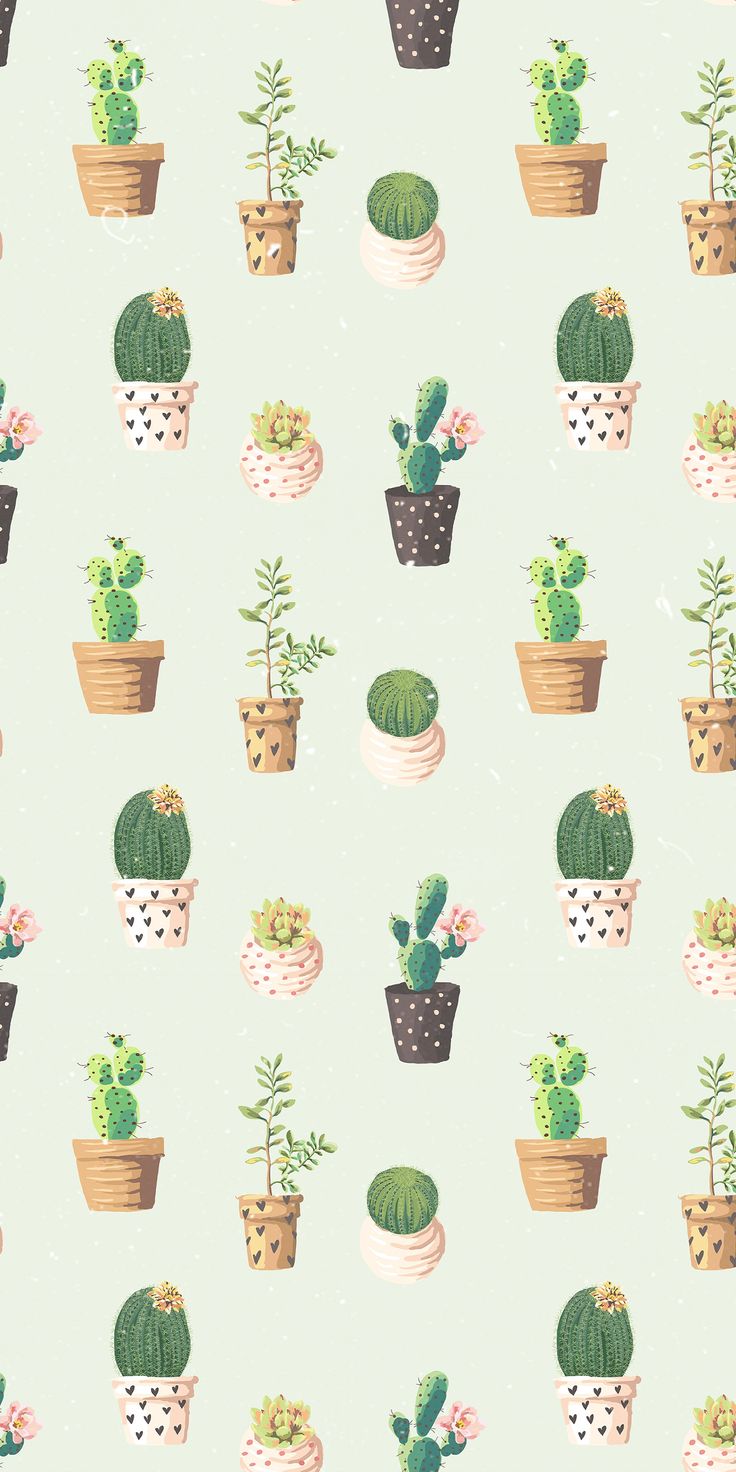 Detail Iphone Cactus Background Nomer 19