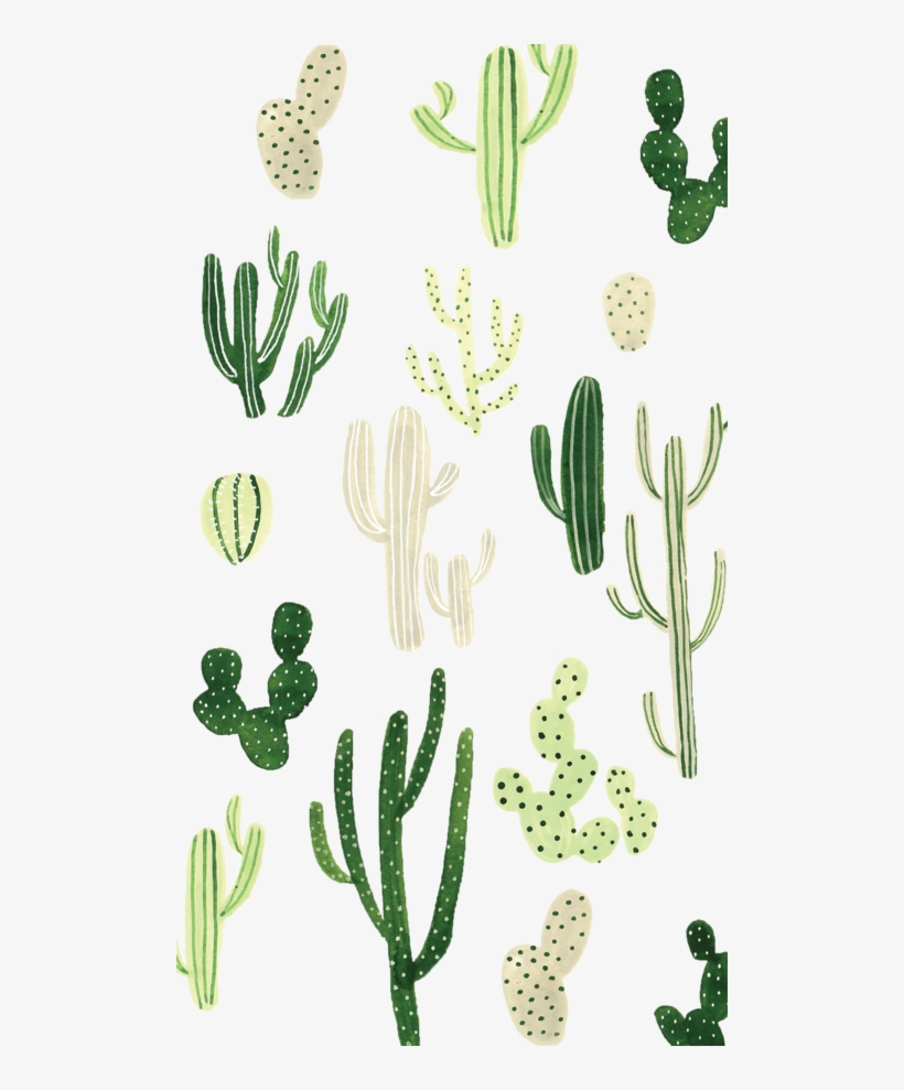 Detail Iphone Cactus Background Nomer 28