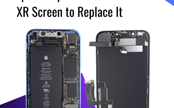 Detail Iphone Xr Screen Png Nomer 25