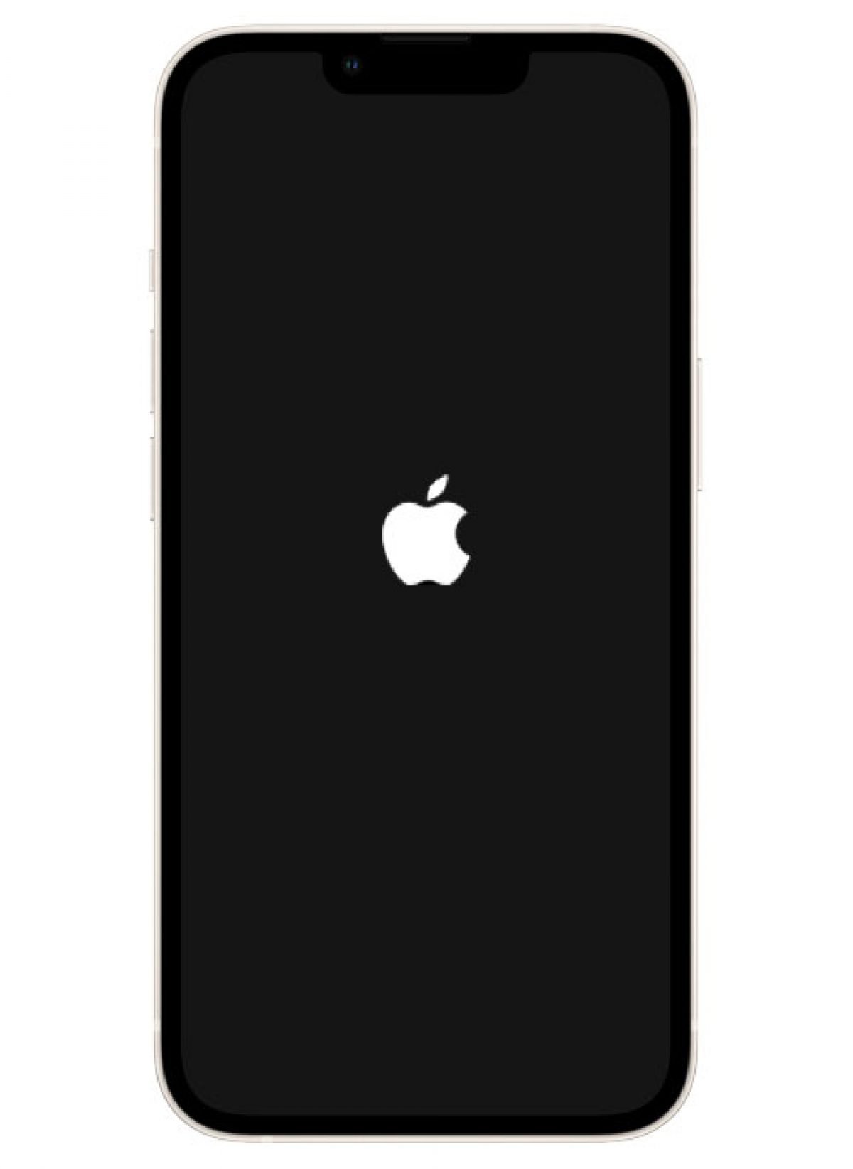 Detail Iphonelogo Nomer 24