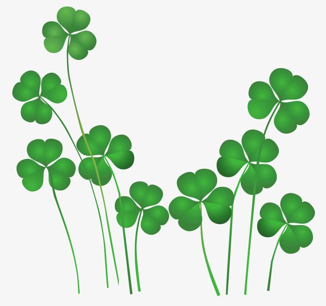 Detail Irish Clover Images Nomer 47