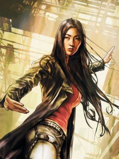 Detail Iron Fist Vs Lady Shiva Nomer 25