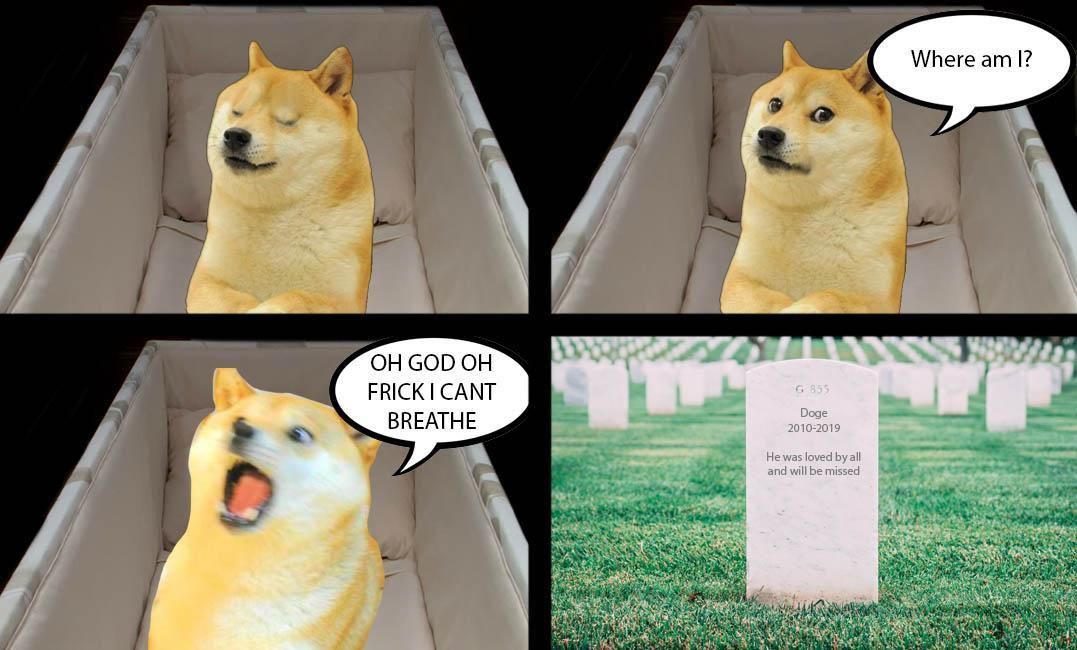 Detail Ironic Doge Memes Nomer 55